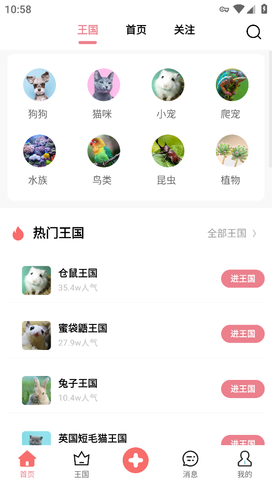 宠物王国软件