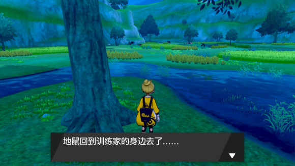 精灵宝可梦剑盾