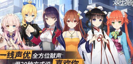 双生视界