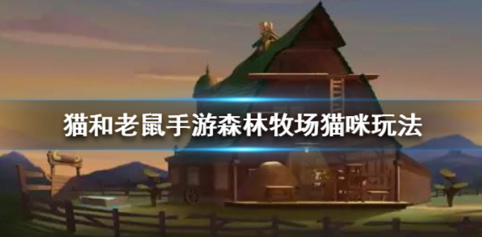 猫和老鼠手游