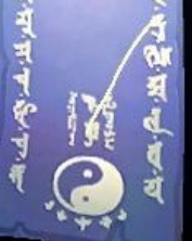 阴阳师