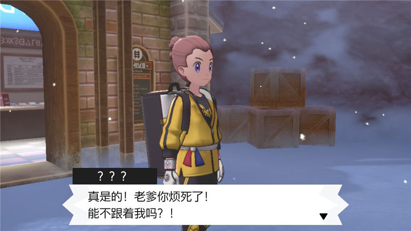 精灵宝可梦剑盾