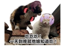 想要在睡觉前过关幻书主线?玩家:也就再来亿把!
