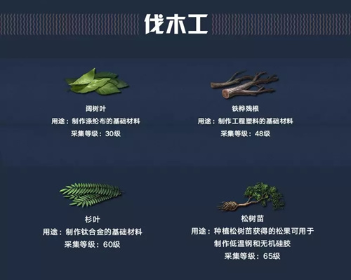 明日之后