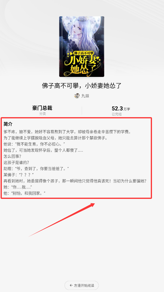 红烛小说软件