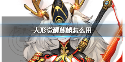 人形觉醒