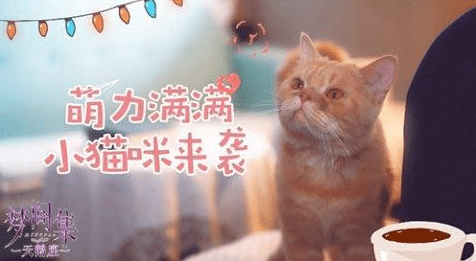 梦间集天鹅座