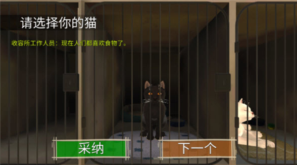 顽皮猫生活模拟