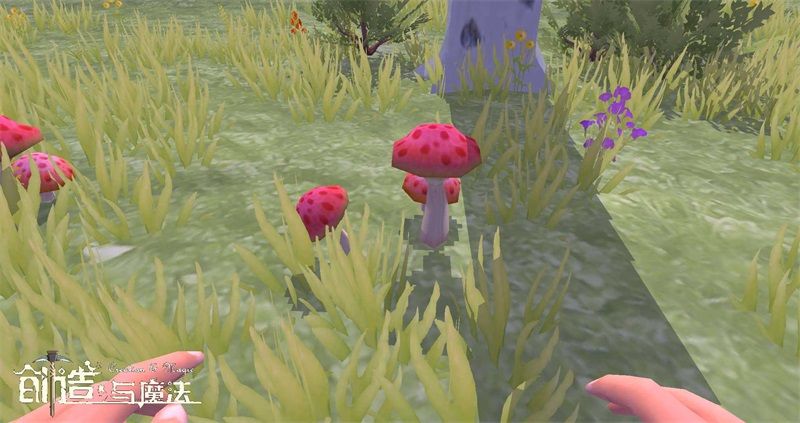 创造与魔法