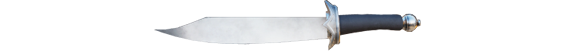 骑马与砍杀2