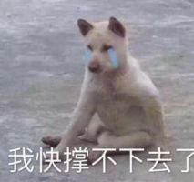 终于,我再次成了《推理学院》这条gai最靓的仔