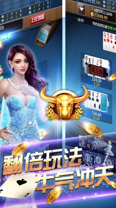 豪利十三张进阶版