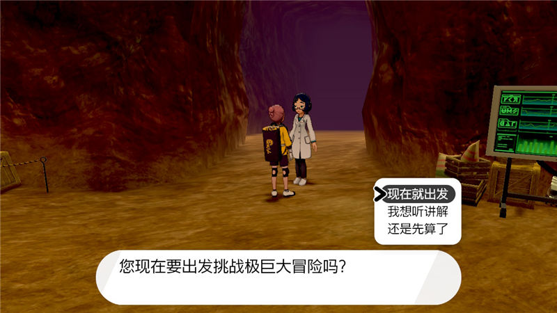 精灵宝可梦剑盾