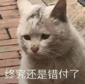 爆款预定!审美在线不说还有高自由的个性玩法,她们好懂啊!