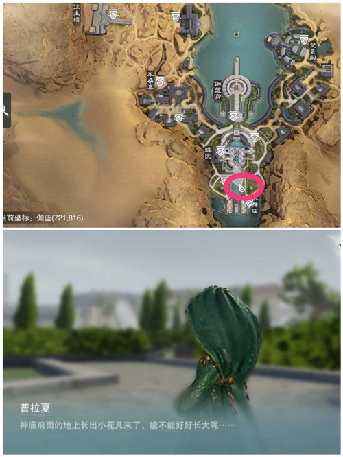 一梦江湖