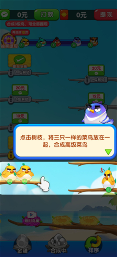 我是菜鸟王