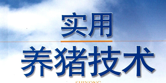 王者荣耀