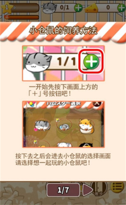 仓鼠的日常生活