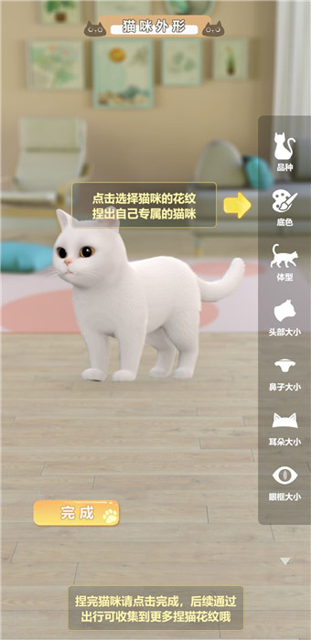 超喵星计划