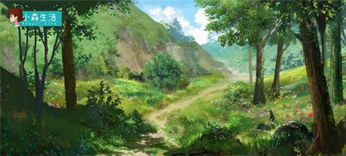 小森生活