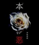 本恶上全流程攻略 第三章