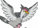 宝可梦剑盾咕咕鸽进化属性介绍