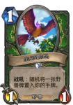 炉石传说乱斗鹦鹉当家怎么玩