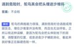 蚂蚁庄园9月20日答案最新2022 鸵鸟