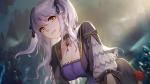 《姬魔恋战纪》贤妻大作战