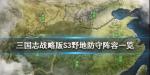 三国志战略版S3野地防守阵容推荐