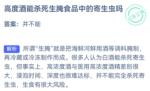 小鸡庄园最新答案10.20