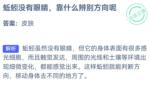 小鸡庄园最新答案10.3