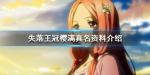 失落王冠樱满真名资料介绍