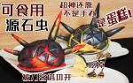 明日方舟源石虫本子