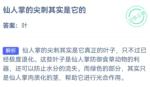 小鸡庄园最新答案9.13 仙人掌