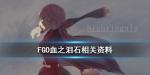 fgo血之泪石哪里刷的快2020