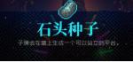 霓虹深渊石头种子怎么样