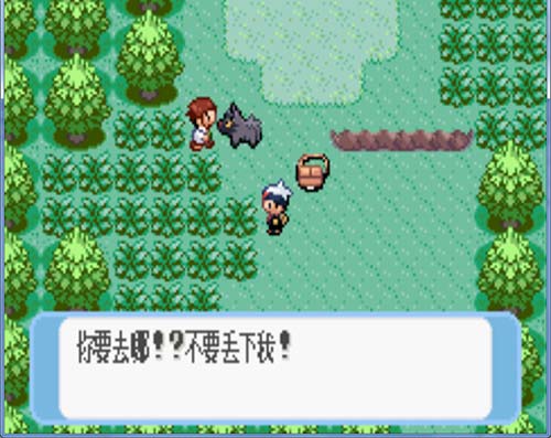 口袋妖怪蓝宝石(附攻略)截图